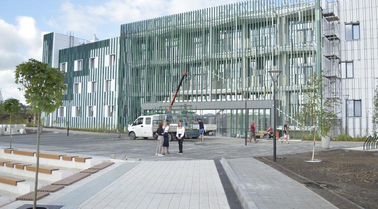 В Белгородском районе готовят к открытию новый кампус Центра для одарённых детей.