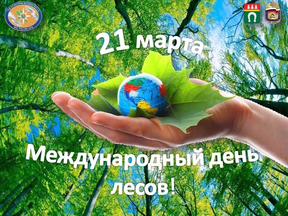 Международный день лесов.