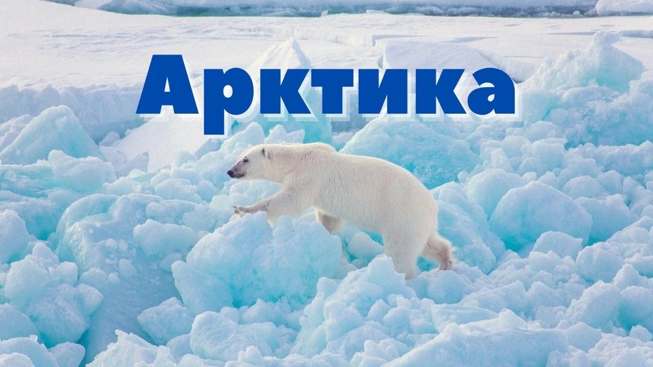 Всероссийский  урок &amp;quot;Арктика&amp;quot;.