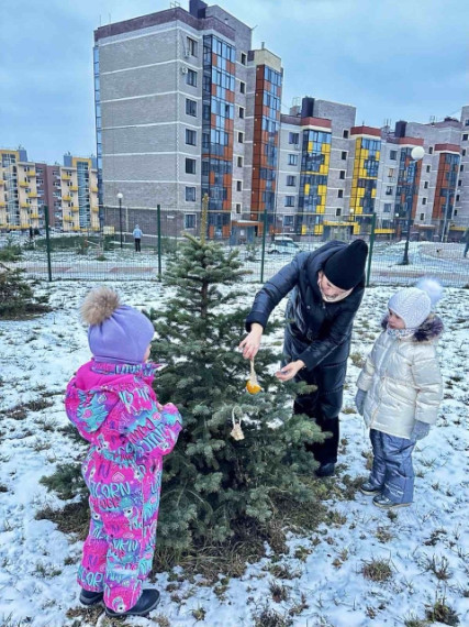 День волонтёра в России: дошколята смастерили съедобные кормушки для птиц.